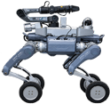 Intelligent Inspection Robot